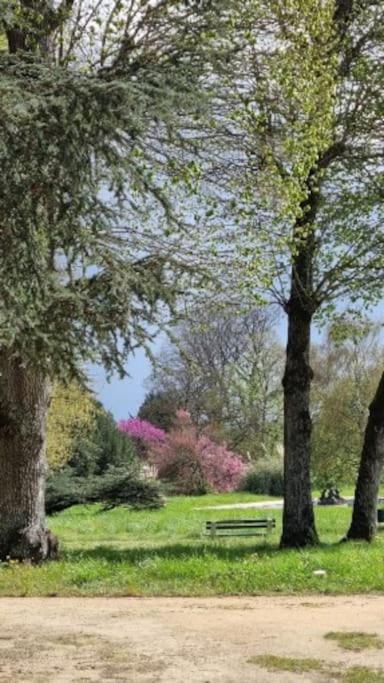 Pavillon Des Ecureuils Au Chateau Royal De Benays Benais 외부 사진