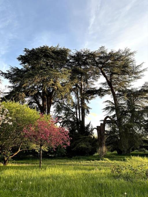 Pavillon Des Ecureuils Au Chateau Royal De Benays Benais 외부 사진